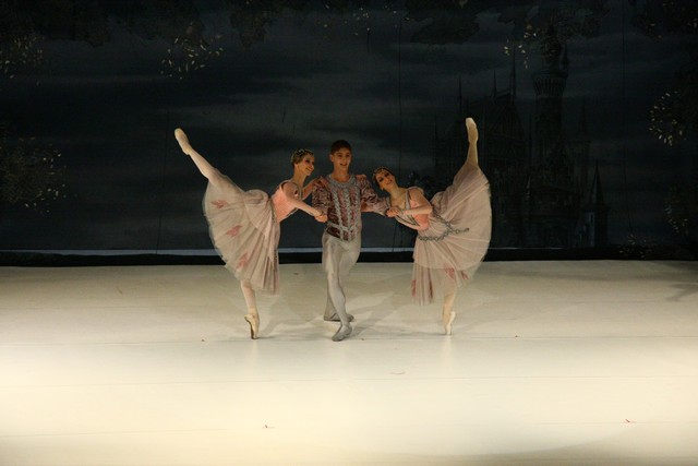 Swan Lake